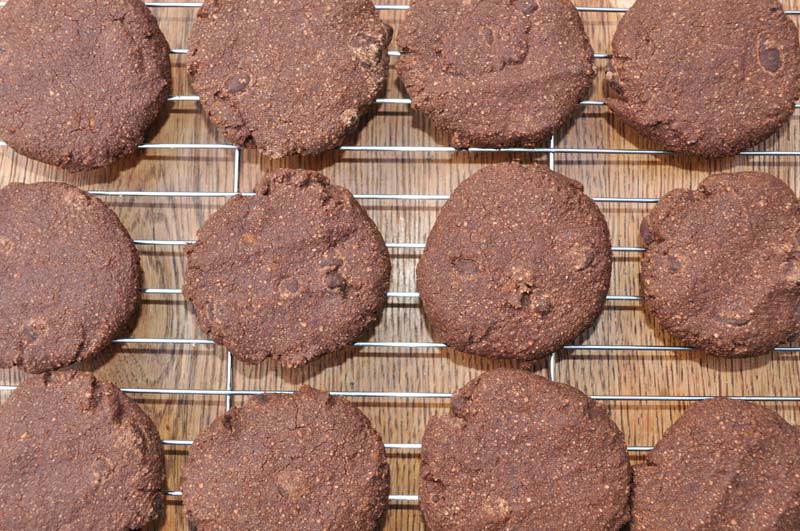 Christmas-Double-Chocolate-Cookies-in-a-Jar-0006