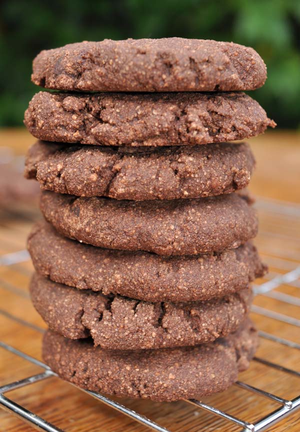 Christmas-Double-Chocolate-Cookies-in-a-Jar-0007