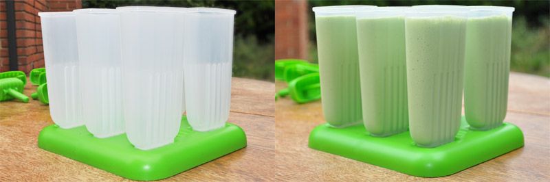 Lemon-and-Lime-Smoothie-Lolly-Moulds