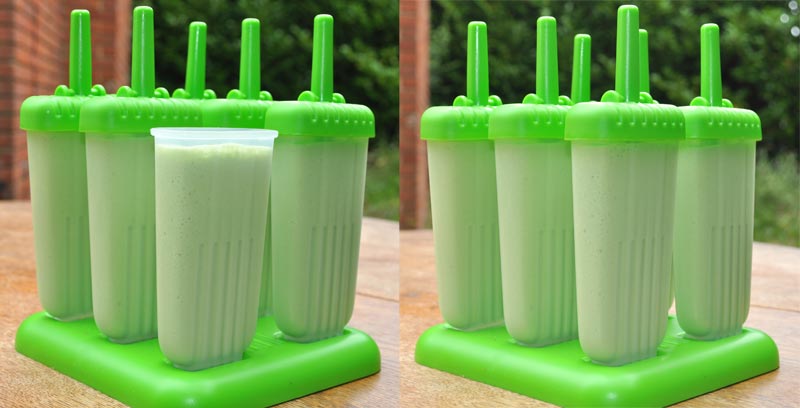Lemon-and-Lime-Ice-Lolly-Moulds