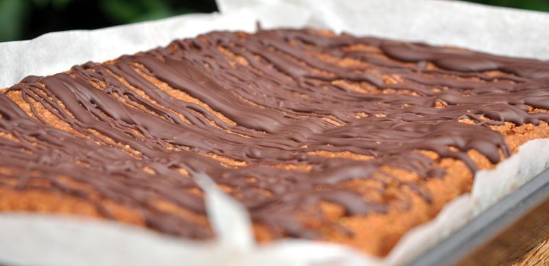 Rich-Chocolate-Pumpkin-Pie-Brownies-0001