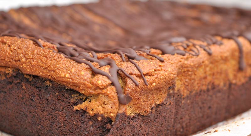 Rich-Chocolate-Pumpkin-Pie-Brownies-0002