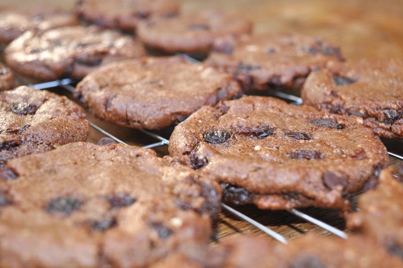 Chocolate-Hazelnut-and-Raisin-Cookies-0004