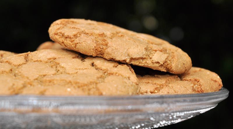 Giant Ginger Nuts