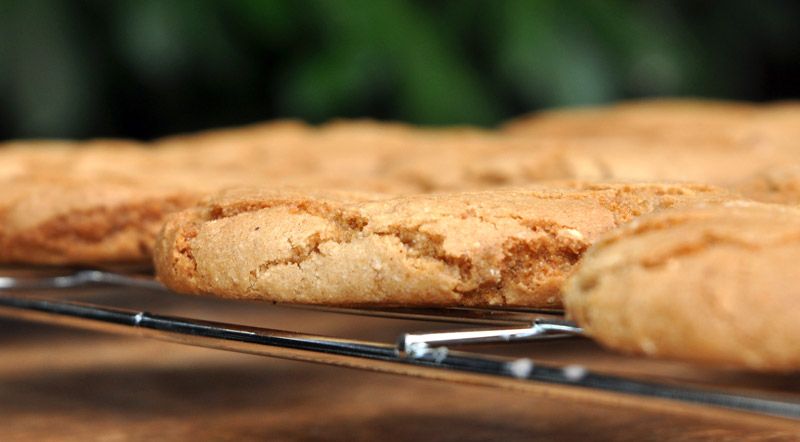 Giant Ginger Nuts