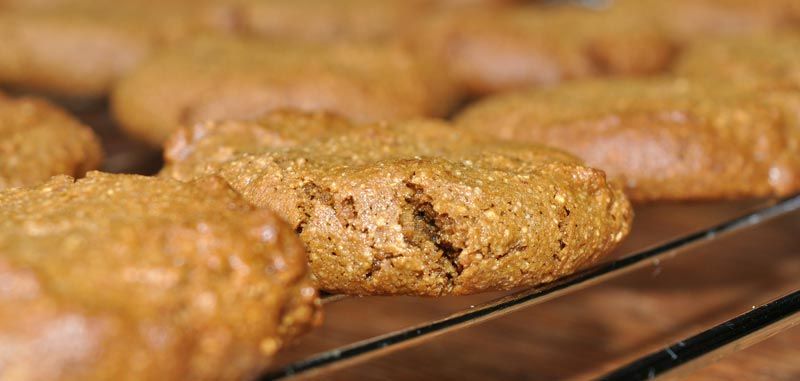 molasses ginger cookies