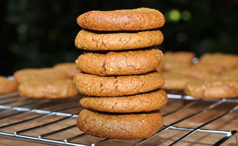 molasses ginger cookies