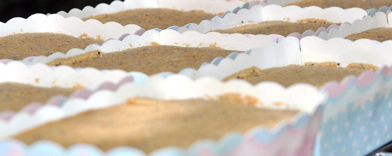 Lemon Poppyseed Mini Loaves With Lemon Buttercream Frosting