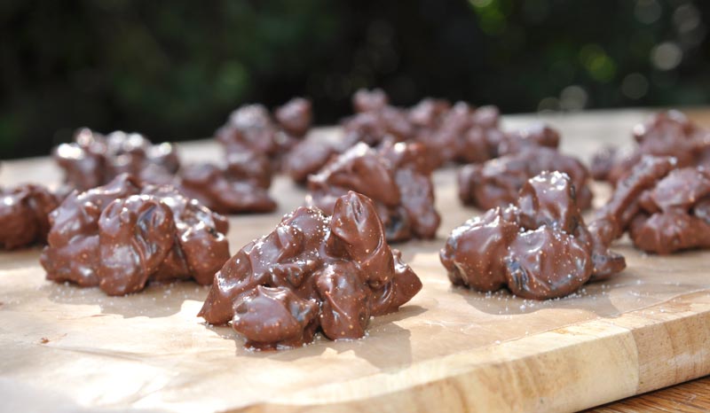 Salted Coconut Milk Chocolate Raisin Clusters 0003