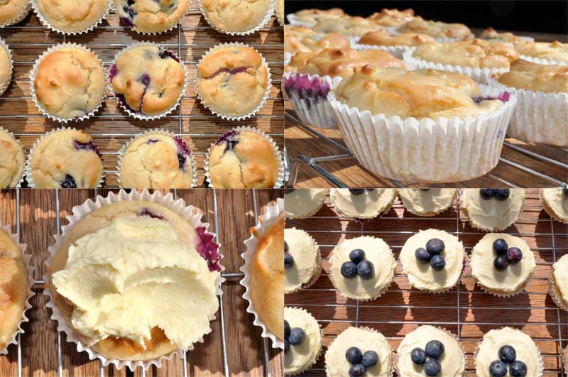 Lemon and Blueberry Cupcakes 0001