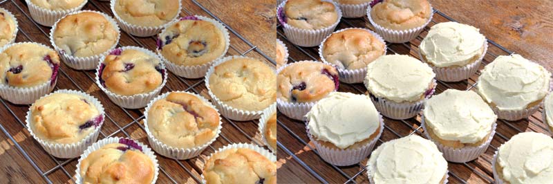 Lemon and Blueberry Cupcakes 0002