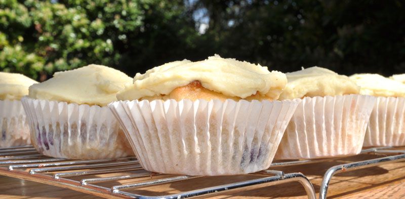 Lemon and Blueberry Cupcakes 0003