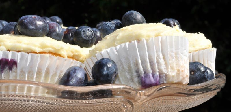 Lemon and Blueberry Cupcakes 0006
