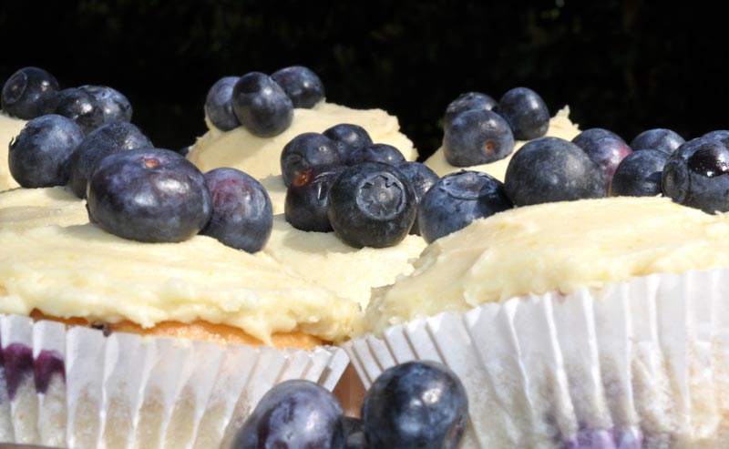 Lemon and Blueberry Cupcakes 0008
