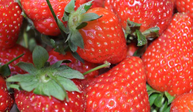 Strawberries and Cream in a Jar