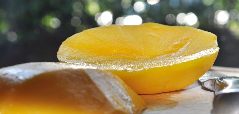 One Ingredient Mango Sorbet with Mango Coulis