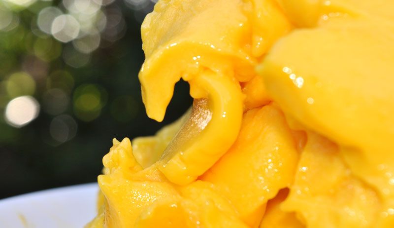 One Ingredient Mango Sorbet with Mango Coulis