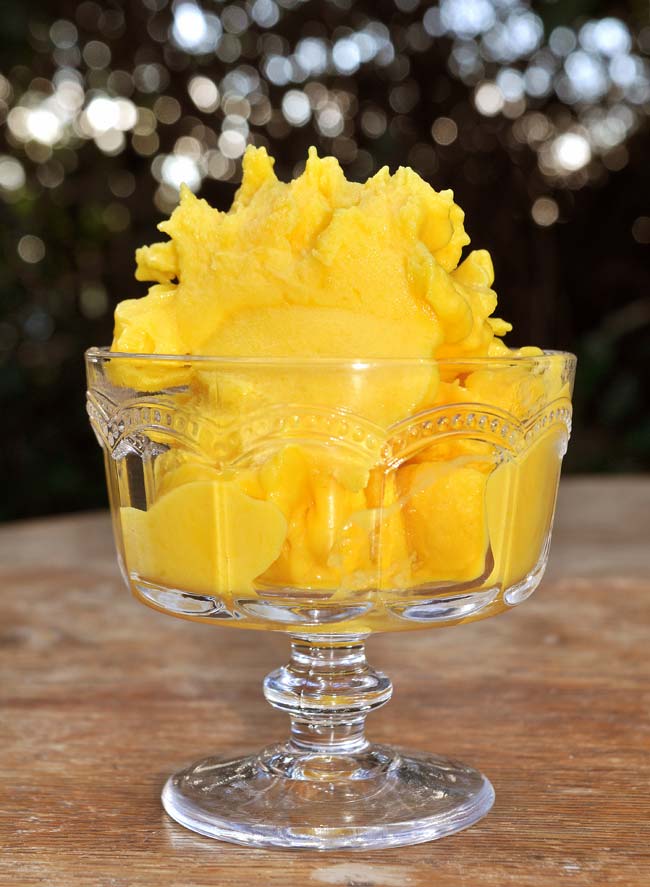 One Ingredient Mango Sorbet with Mango Coulis