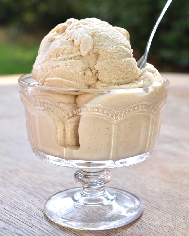 Super-Yummy-Peanut-Butter-Ice-Cream-0004