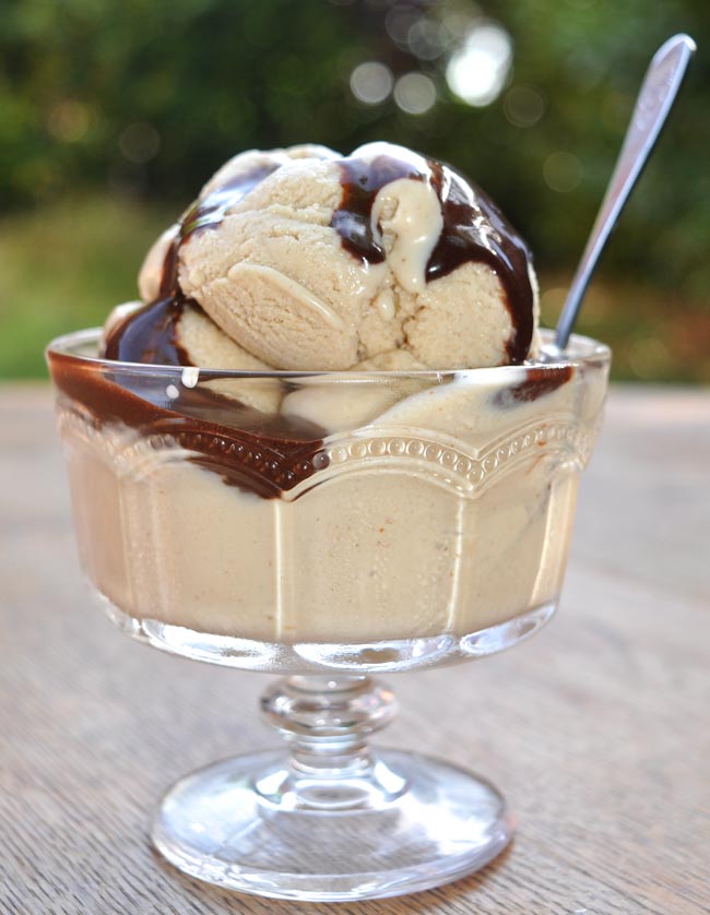 Super-Yummy-Peanut-Butter-Ice-Cream-0007